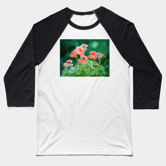 Nasturtium flowers photo Baseball T-Shirt by MistyLakeArt